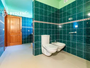 Prodej rodinného domu, Zahořany, 250 m2