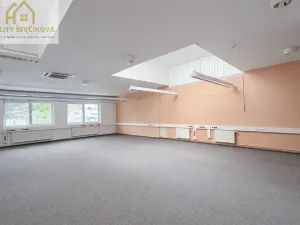 Pronájem komerční nemovitosti, Hradec Králové, Zemědělská, 695 m2