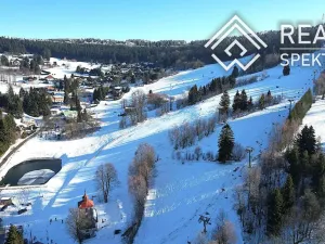 Prodej chaty, Čenkovice, 155 m2