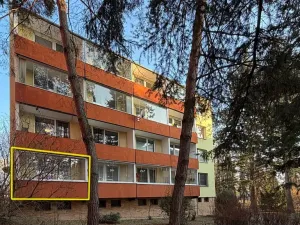 Prodej bytu 1+1, Brno, Foerstrova, 33 m2