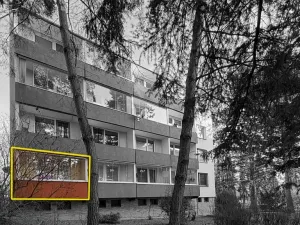 Prodej bytu 1+1, Brno, Foerstrova, 33 m2