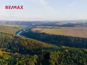 Prodej lesa, Všehrdy, 35057 m2