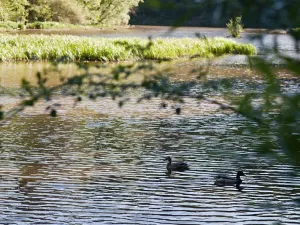 Prodej chaty, Plasy, 26 m2