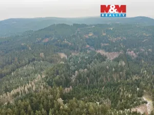 Prodej lesa, Hůrky, 6294 m2