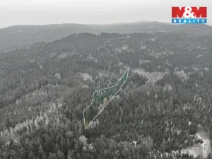 Prodej lesa, Hůrky, 6294 m2
