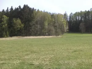 Dražba louky, Mezno, 8388 m2