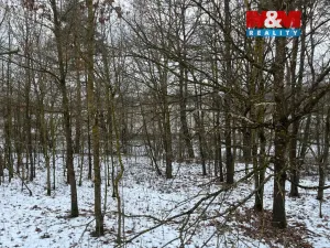 Prodej pole, Písek - Hradiště, 5135 m2