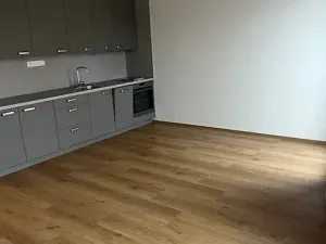 Pronájem bytu 1+kk, České Budějovice, Dobrovodská, 33 m2