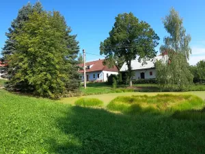 Prodej chalupy, Pecka, 300 m2