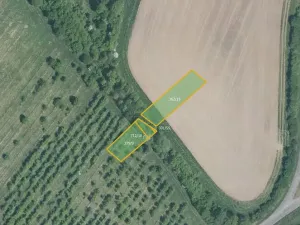 Prodej pole, Hoštice, 17754 m2