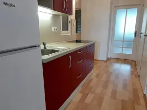 Pronájem bytu 1+1, Praha - Holešovice, Dělnická, 50 m2