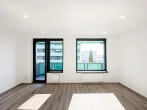 Pronájem bytu 1+kk, Praha - Žižkov, Olgy Havlové, 32 m2