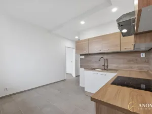 Pronájem bytu 1+1, Brno, Vavřinecká, 35 m2