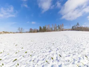 Prodej komerčního pozemku, Valchov, 8679 m2