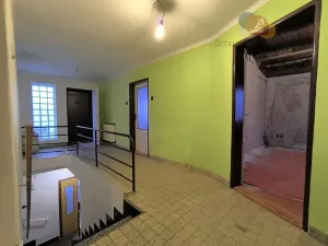 Prodej vícegeneračního domu, Staré Město, Na Baštici, 241 m2