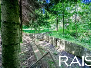 Prodej rodinného domu, Víchová nad Jizerou, 145 m2