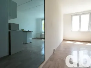 Pronájem bytu 1+kk, Chodov, Čapkova, 26 m2