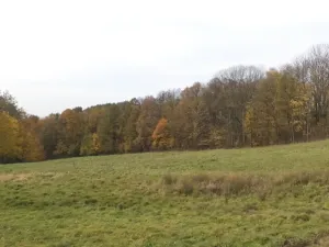 Dražba louky, Nový Jičín, 6670 m2