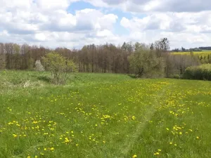 Dražba pozemku, Vítkov, 5357 m2