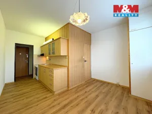 Prodej bytu 2+1, Litoměřice - Předměstí, Družstevní, 53 m2