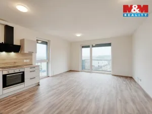 Pronájem bytu 2+kk, Plzeň - Litice, 48 m2