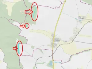 Prodej podílu lesa, Vlastec, 2339 m2