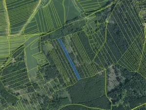 Prodej lesa, Plzeň, 5650 m2