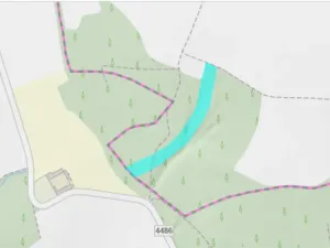 Prodej lesa, Olbramice, 12592 m2