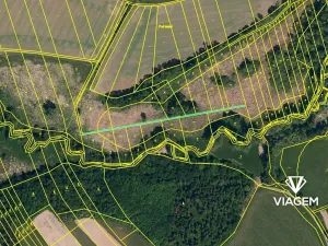 Prodej pole, Holasovice, 5314 m2