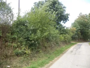 Prodej pozemku, Střelské Hoštice - Kozlov, 56 m2