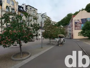 Prodej bytu 2+kk, Karlovy Vary, Vřídelní, 61 m2