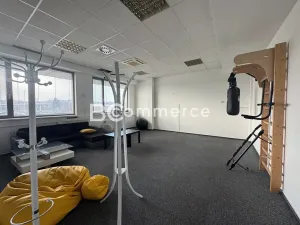 Pronájem kanceláře, Brno, 400 m2