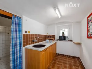 Prodej komerční nemovitosti, Podmokly, 60 m2