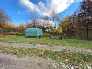 Prodej lesa, Jílové u Prahy, 14982 m2