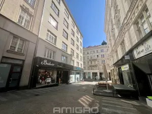 Pronájem bytu 2+kk, Brno, Květinářská, 50 m2