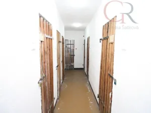 Prodej bytu 2+1, Plzeň - Východní Předměstí, Rychtaříkova, 51 m2