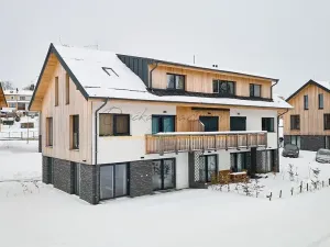 Prodej bytu 1+kk, Černá v Pošumaví, 33 m2