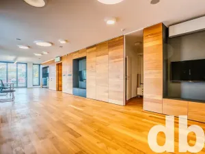 Pronájem bytu 1+kk, Cheb, 26. dubna, 70 m2