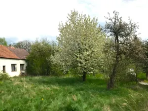 Prodej rodinného domu, Nový Knín, 120 m2