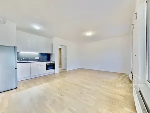 Pronájem bytu 1+kk, Praha - Hlubočepy, Wassermannova, 34 m2