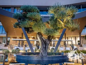 Prodej bytu 3+kk, Savudrija, Chorvatsko, 80 m2