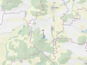 Dražba lesa, Kuřimany, 10437 m2