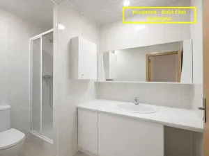 Pronájem kanceláře, Brno, Příkop, 226 m2