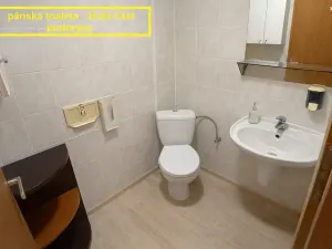 Pronájem kanceláře, Brno, Příkop, 226 m2