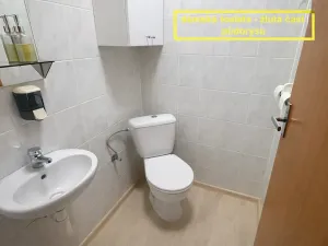 Pronájem kanceláře, Brno, Příkop, 226 m2