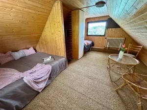 Prodej chaty, Borotice, 49 m2