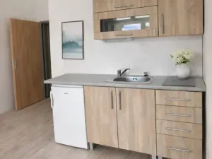 Pronájem bytu 1+kk, Olomouc, Zámečnická, 32 m2