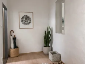 Pronájem bytu 2+kk, Olomouc, Horní náměstí, 30 m2