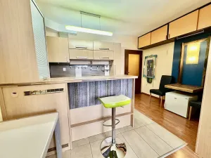 Pronájem bytu 1+kk, Brno, Bednaříkova, 31 m2