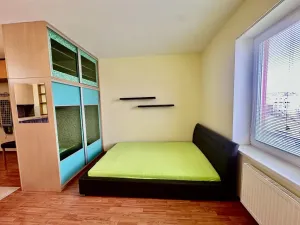 Pronájem bytu 1+kk, Brno, Bednaříkova, 31 m2